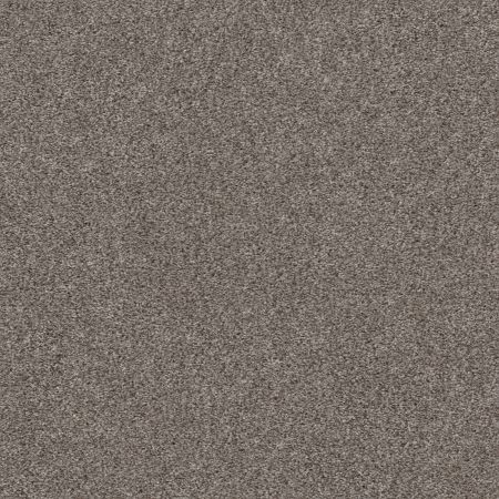 Shaw Floors Pet Perfect Plus Calm Serenity I Net Dark Maple