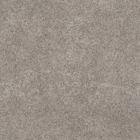 Shaw Floors Pet Perfect Plus Calm Serenity II Net River Run