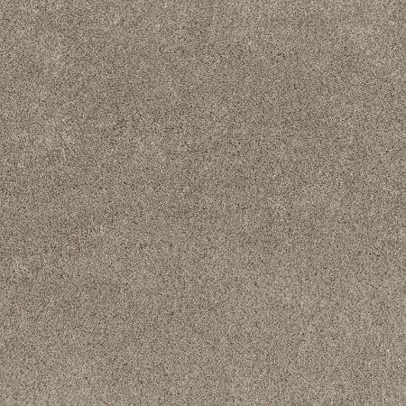 Shaw Floors Pet Perfect Plus Calm Serenity II Net Desert View