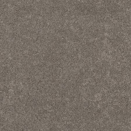 Shaw Floors Pet Perfect Plus Calm Serenity II Net Dark Maple