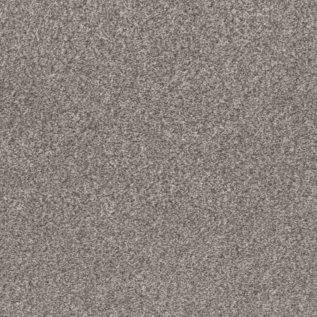 Shaw Floors Pet Perfect Plus Calm Simplicity I Net English Streets