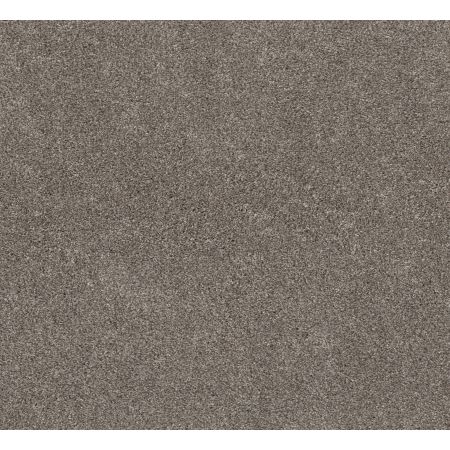 Shaw Floors Pet Perfect Plus Calm Simplicity II Net Desert View
