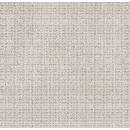 Shaw Floors Pet Perfect Plus Charming Transition Net Winters Dawn