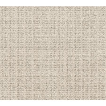 Shaw Floors Pet Perfect Plus Charming Transition Net Washed Linen