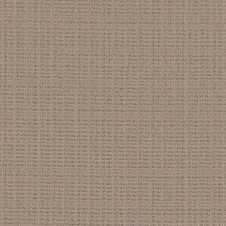 Shaw Floors Pet Perfect Plus Charming Transition Net Beige Bisque