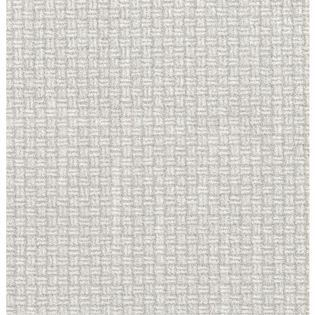 Shaw Floors Pet Perfect Plus Soothing Surround Net Snow Cap