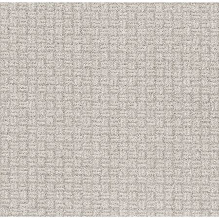 Shaw Floors Pet Perfect Plus Soothing Surround Net Winters Dawn