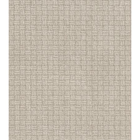 Shaw Floors Pet Perfect Plus Soothing Surround Net Shoreline