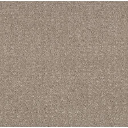 Shaw Floors Foundations Chic Nuance Net Fossil Path