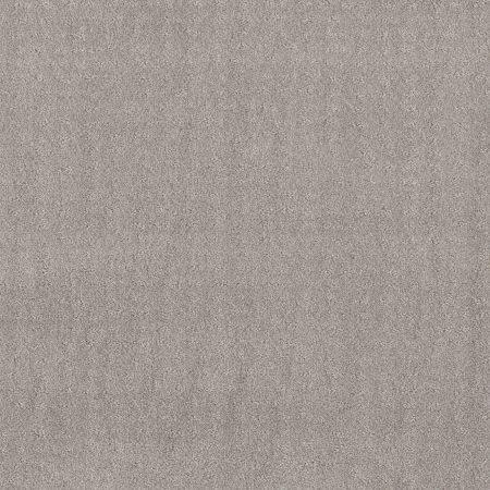 Shaw Floors Foundations Chic Nuance Net Silver Lining