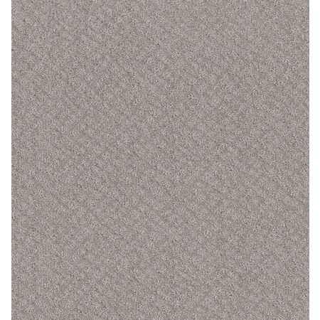 Shaw Floors Foundations Chic Shades Net Silver Lining