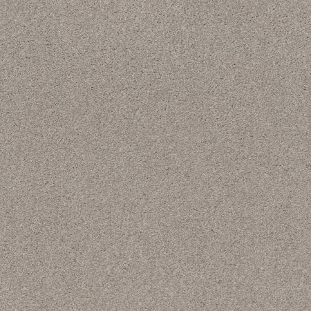 Shaw Floors Caress By Shaw Cozy Harbor I Net Baltic Stone