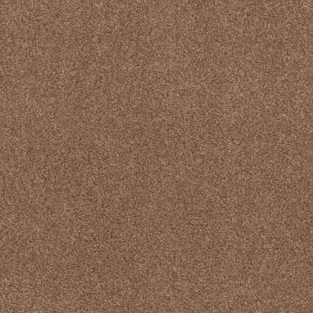 Shaw Floors Caress By Shaw Cozy Harbor I Net Sunbaked