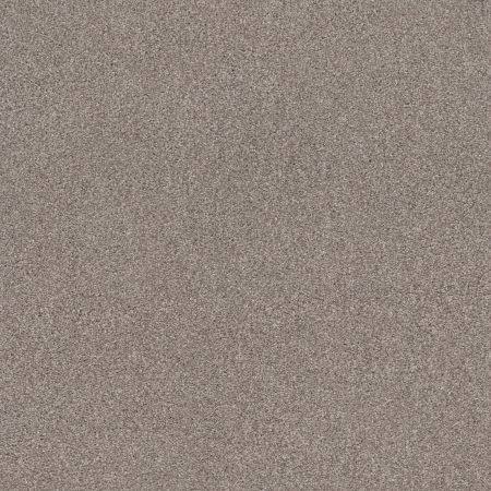 Shaw Floors Caress By Shaw Cozy Harbor II Net Stucco
