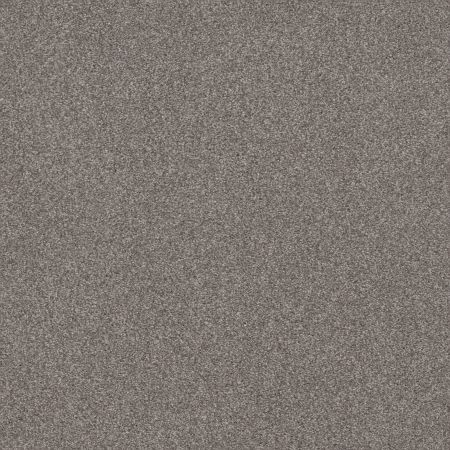 Shaw Floors Caress By Shaw Cozy Harbor II Net Ridgeview