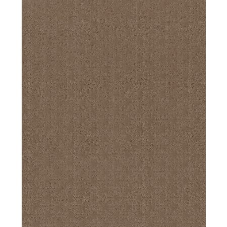 Shaw Floors Caress By Shaw Zenhaven Net Raw Wood