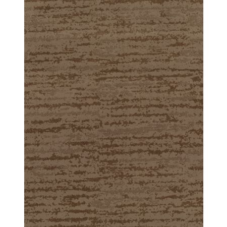 Shaw Floors Caress By Shaw Winter Solace Net Raw Wood
