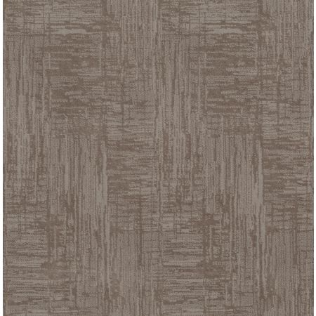 Shaw Floors Caress By Shaw Insightful Journey Net Stucco