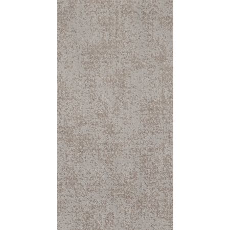 Shaw Floors Caress By Shaw Artistic Presence Net Cold Winter