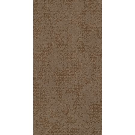 Shaw Floors Caress By Shaw Artistic Presence Net Raw Wood