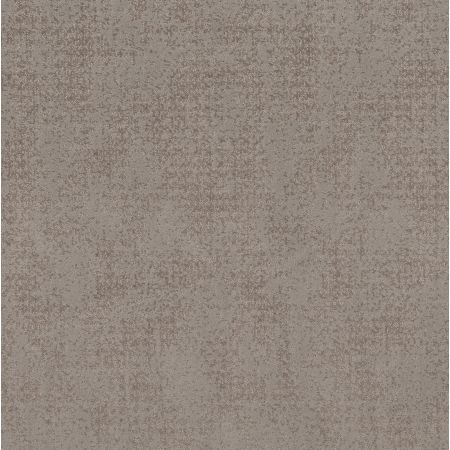 Shaw Floors Caress By Shaw Artistic Presence Net Stucco