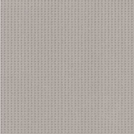 Shaw Floors Caress By Shaw Soft Symmetry Net Cold Winter