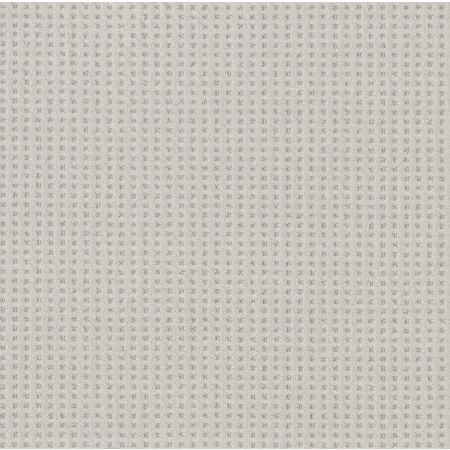 Shaw Floors Caress By Shaw Soft Symmetry Net Minimal