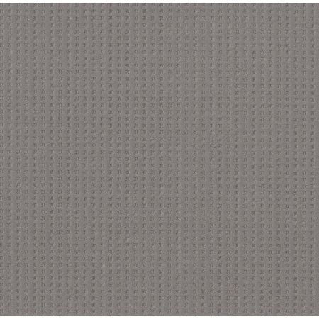 Shaw Floors Caress By Shaw Soft Symmetry Net Grounded Gray