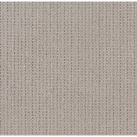 Shaw Floors Caress By Shaw Soft Symmetry Net Stucco