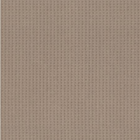 Shaw Floors Caress By Shaw Soft Symmetry Net Tumbleweed