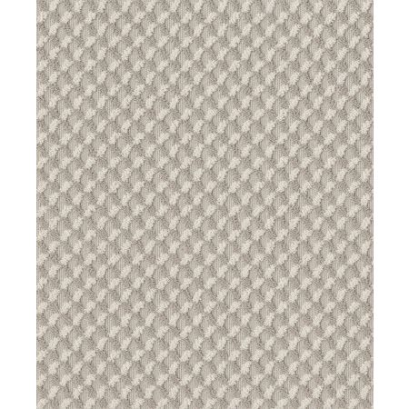 Shaw Floors Caress By Shaw Inspired Design Net Delicate Cream