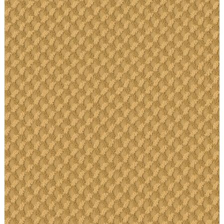 Shaw Floors Caress By Shaw Inspired Design Net Turmeric