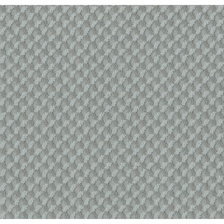 Shaw Floors Caress By Shaw Inspired Design Net Waters Edge