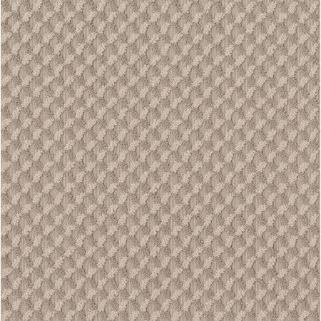 Shaw Floors Caress By Shaw Inspired Design Net Natural Beauty