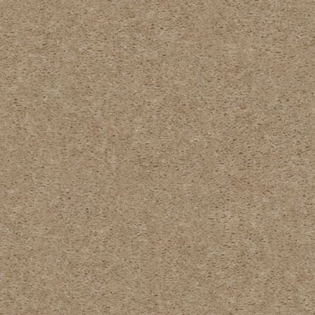 Shaw Floors Value Collections Heroic Net Artisan Craft