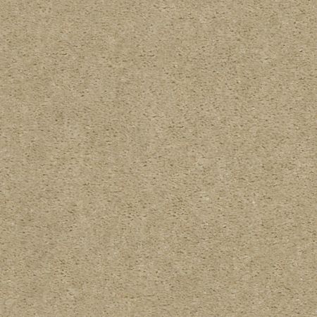 Shaw Floors Value Collections Heroic Net Spanish Sand