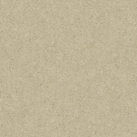 Shaw Floors Value Collections Heroic Net Coconut Twist