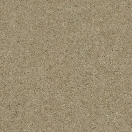 Shaw Floors Value Collections Heroic Net Chateau