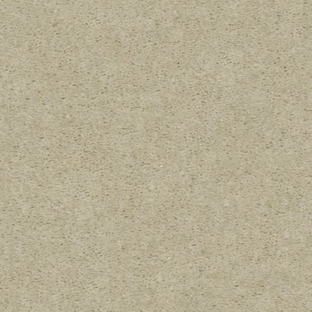 Shaw Floors Value Collections Heroic Net Ash Blonde