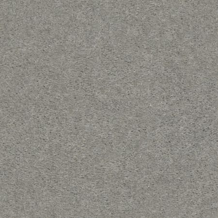 Shaw Floors Value Collections Heroic Net Shadow