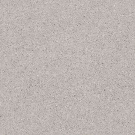 Shaw Floors Value Collections Heroic Net Glacier Ice