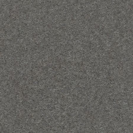 Shaw Floors Value Collections Heroic Net Hampton Surf