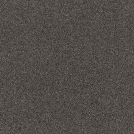 Shaw Floors Value Collections Heroic Net Wrought Iron