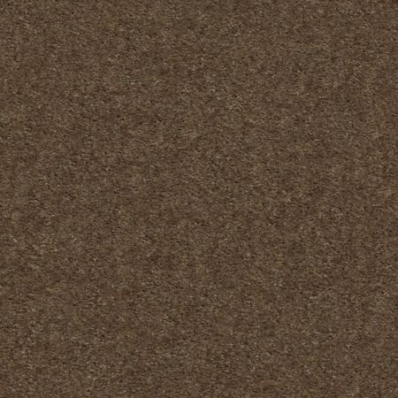 Shaw Floors Value Collections Heroic Net Toffee