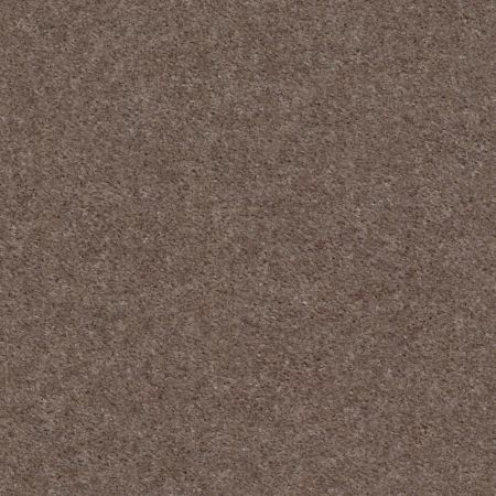 Shaw Floors Value Collections Heroic Net Chic Taupe