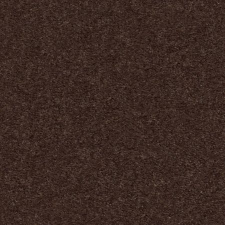 Shaw Floors Value Collections Heroic Net Truffle