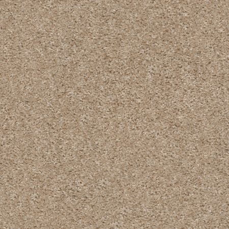 Shaw Floors Value Collections Valiant Net Mohair