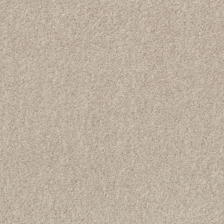 Shaw Floors Value Collections Valiant Net Marble White