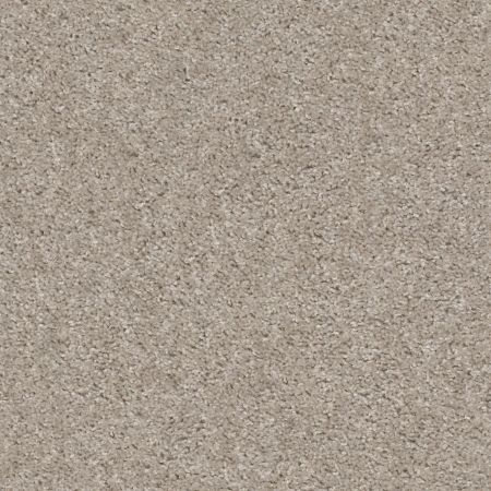 Shaw Floors Value Collections Valiant Net Quiet Moment