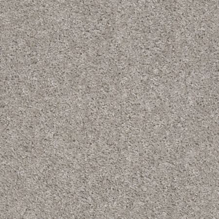 Shaw Floors Value Collections Valiant Net La Paloma